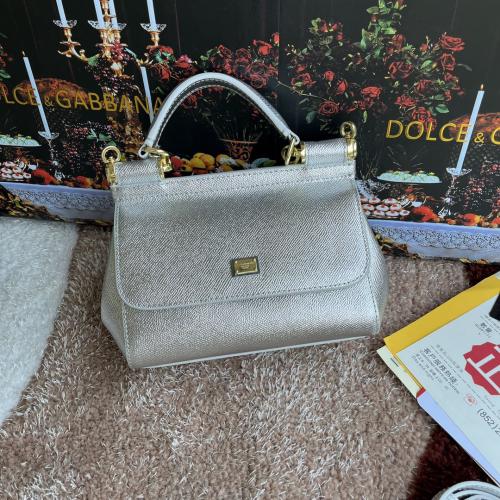 شنطة دولشي اند غابانا D&G 20cm