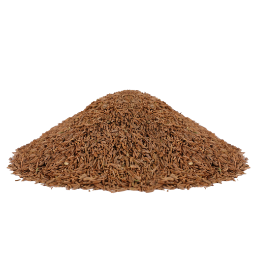 كمون هندي حب