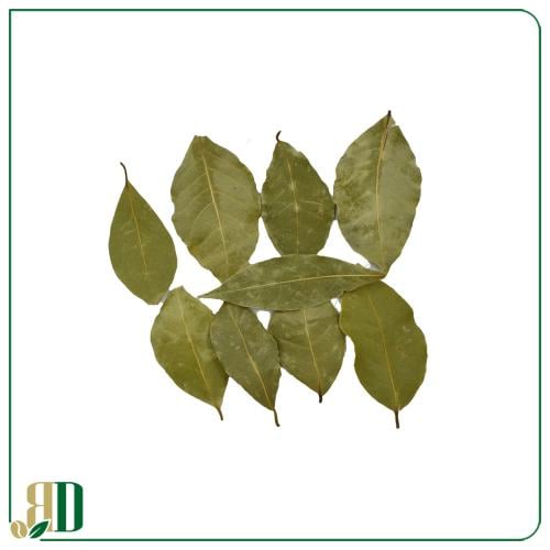 ورق غار سوري رقم 1