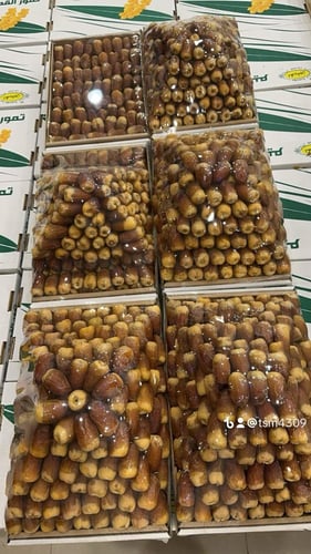 صقعي ملكي جامبو وزن ٧ كيلو