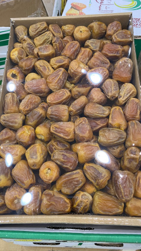 مفتل سكري فاخر وزن 3كيلو