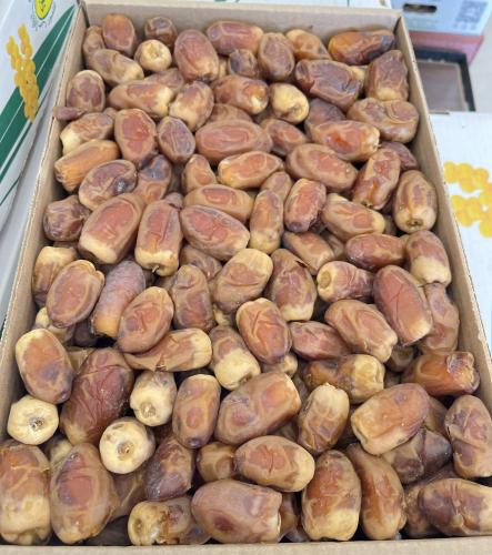 عرض صقعي