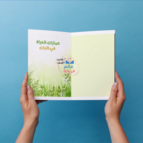 عمليات الحياة في النبات علوم سادس