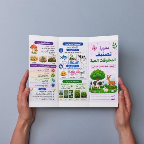 مطوية (تصنيف المخلوقات الحية)