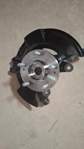 فلنجة شانجان مع بواجي