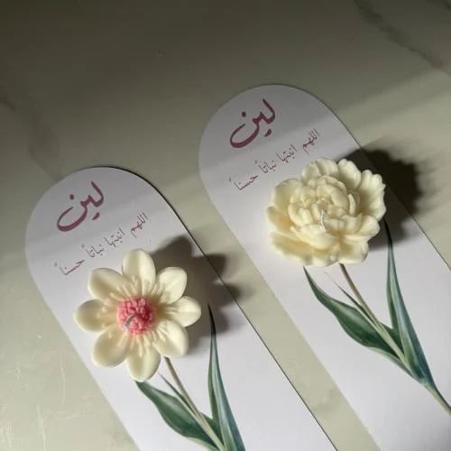 توزيعات مواليد