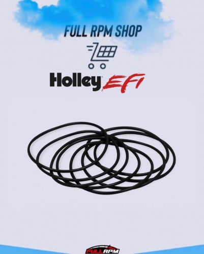 طقم جلب ثلاجه هولي هاي رام/لو رام LS3