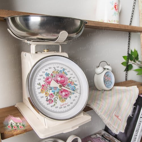 0743 ميزان ريترو معدني أنيق من إزابيل روز 3kg (كري...