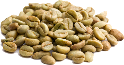 Green coffee Dominican Republic Honey - 1 kg