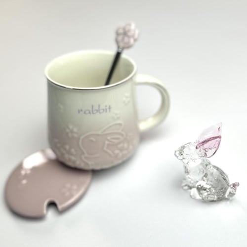 بوكس أرنوب : 5 قطع