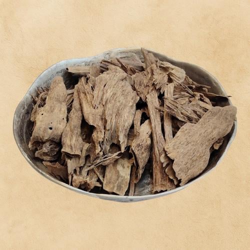 عود إندونيسي – كلمتان بونتيانك سوبر (KLMP-AAA)