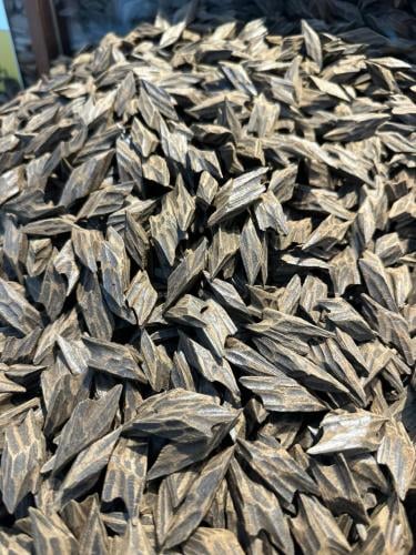 Ounce of Taeger wood, Vietnamese, first degree