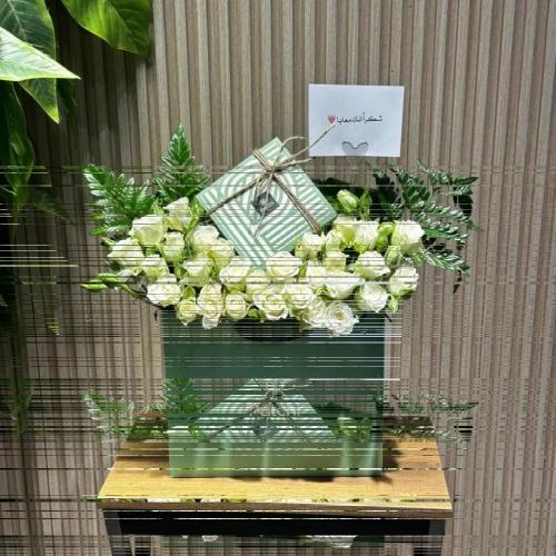 تنسيق حلا باتشي