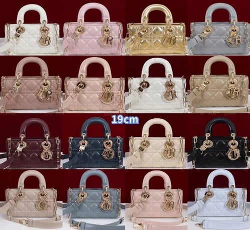 شنطه ديور مقاس 19 cm