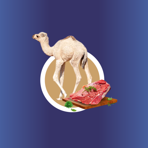 أربعة كيلو حاشي