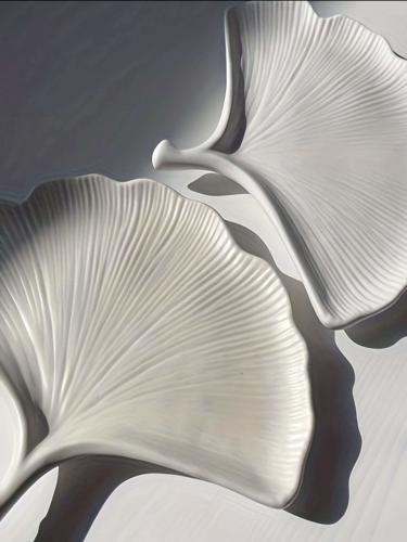 حامل اكسسوارات