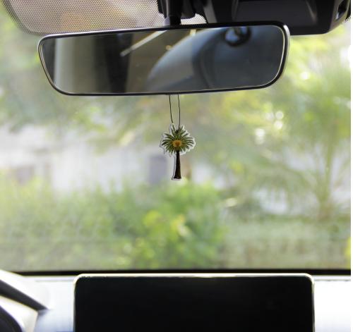 معطر سيارة النخلة