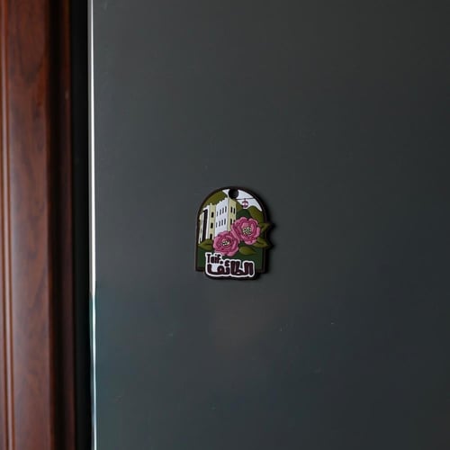 مغناطيس - الطائف