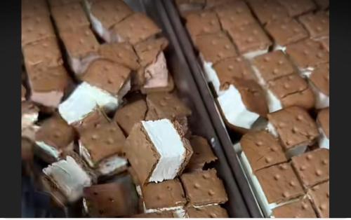 سطل ايسكريم سندويش قطع