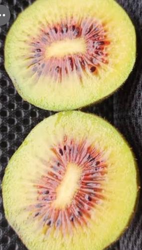 كيوي بالفراوله علبه 60 جرام