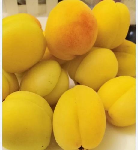 مشمش قيسي حالي علبه 60 جرام