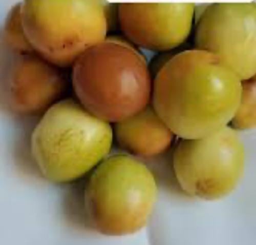 كنار مجفف ( نبق )60 جرام