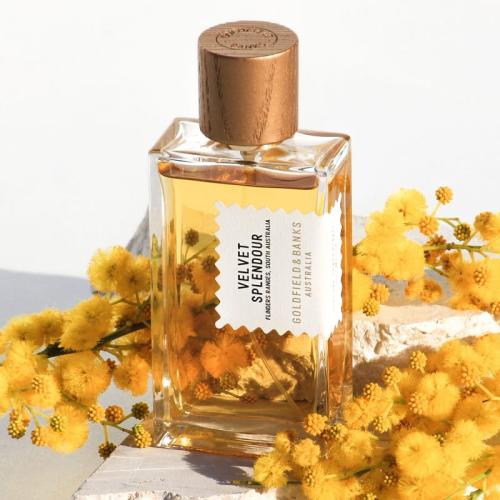 عطر جولد فيلد بانكس فيلفت سبلندور بارفيوم 100مل