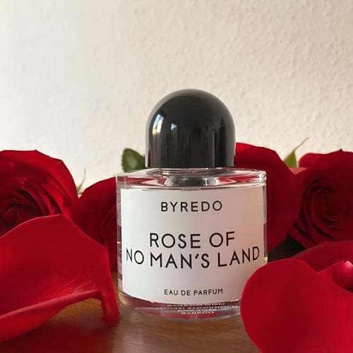 عطر بيريدو روز اوف نو مانز لاند او دو بارفيوم 100م...