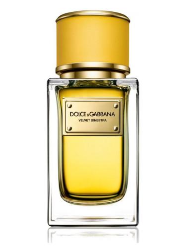 عطر دولتشي جابانا فلفت جنسترا 50ملي (كرتون تستر)