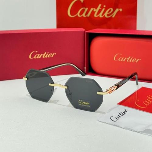 نظارات كارتير - Cartier Luxury Eyewear
