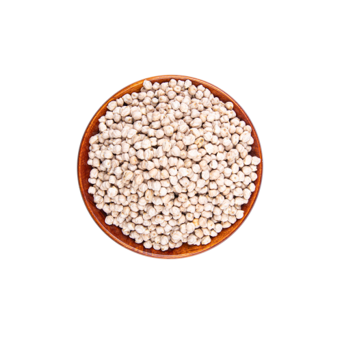 حمص