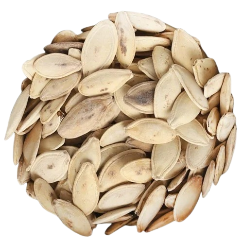 حب القرع