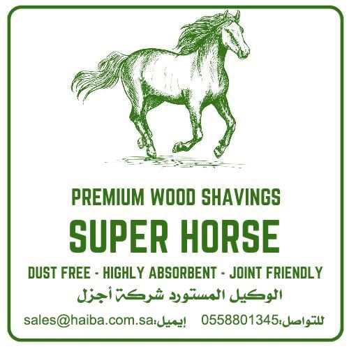 نشارة خشب للخيل