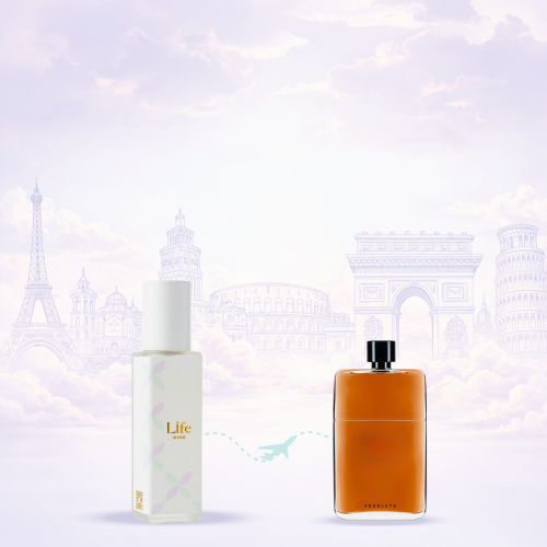 تولة جلتي ابسلوت