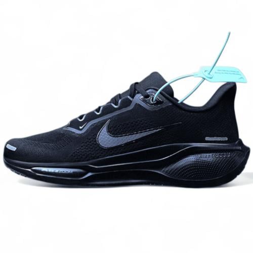 Pegasus 41