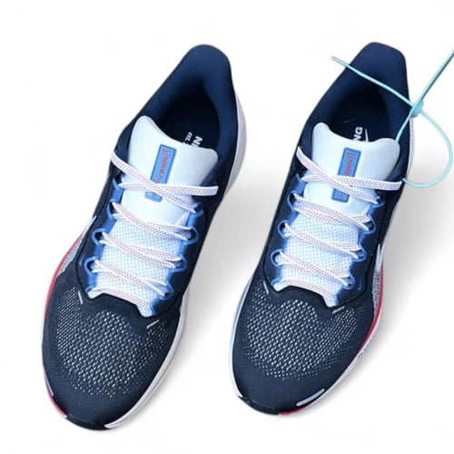 Pegasus 41