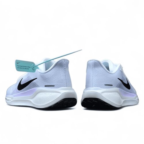 Pegasus 41