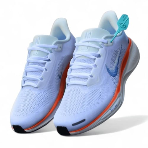 Pegasus 41