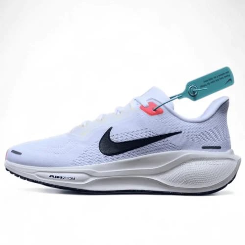 Pegasus 41