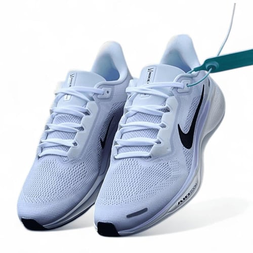 Pegasus 41