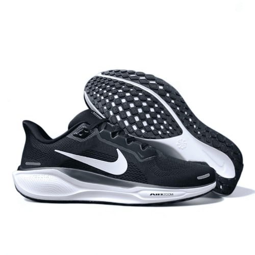 Pegasus 41
