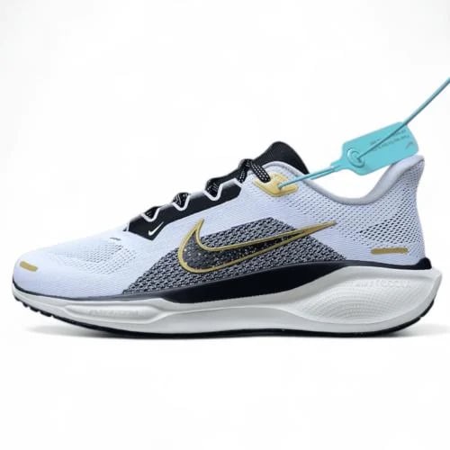 Pegasus 41
