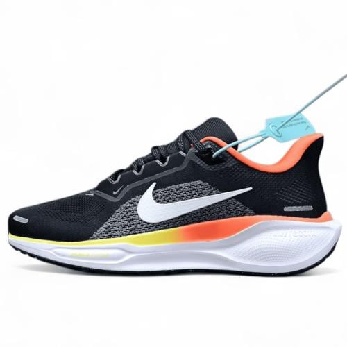 Pegasus 41