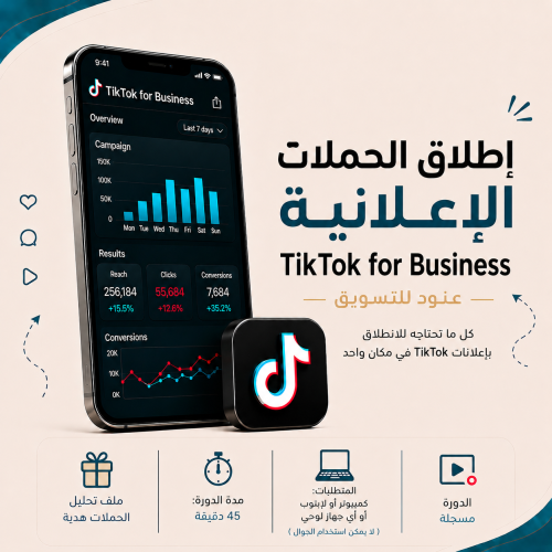 TikTok Business advertising campaign launch course