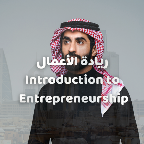 ريادة الأعمال