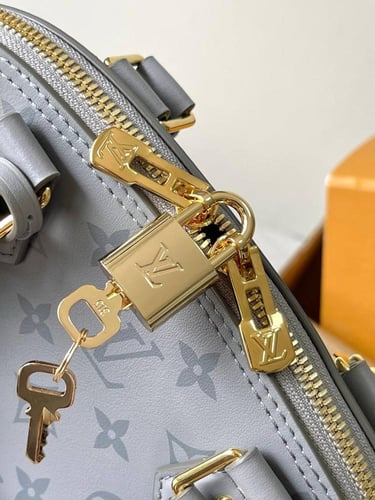LV ALMA BB MONOGRAM INK IN GREY BAG