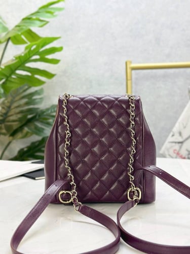 CHANEL DUMA BACKPACK