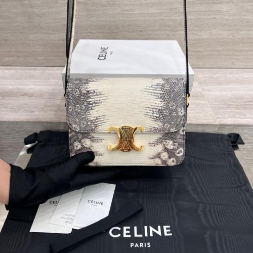 TEEN TRIOMPHE Lizard