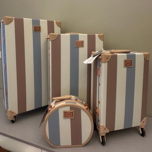 بكيج (كاري اول) جلد مقلم عريض - Carryall bag