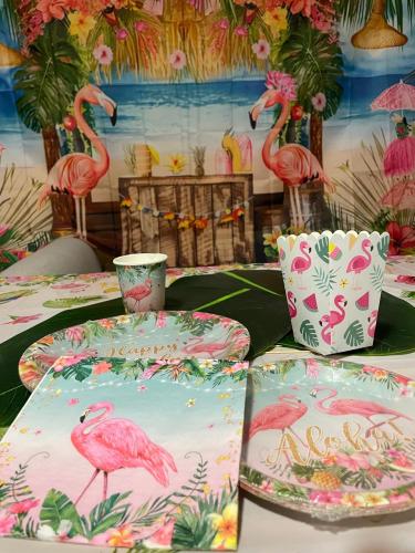 Flamenco party kits